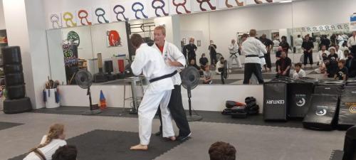 Steve Gower - Uechiryu Karate